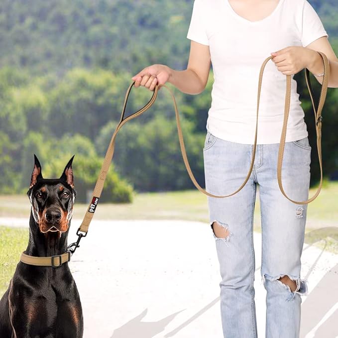 Plutus Pet Double Handle Dog Leash 4ft, Heavy Duty, Reflective Dual Handle Dog Leash for Safety Training, for Medium Large Dogs,2 Handle Leads(Brown)
