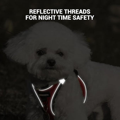 Dog Harness and Leash Set, Dog Harness for Dogs No Pull, No-Chock Step-in Reflective Breathable Lightweight Easy Walk Vest Harnesses with Safety Buckle for Small Medium Dogs, Cats (Red, M)