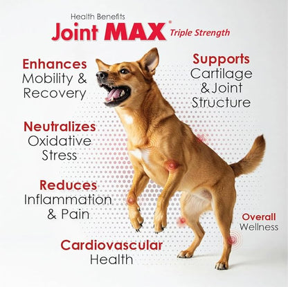 Joint MAX Liquid for Dogs (32 fl oz)
