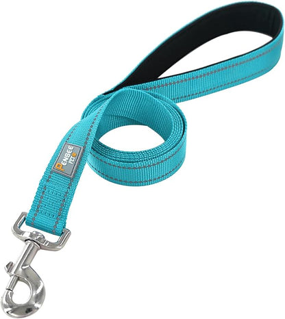 Dog Leash 6 FT Padded Handle Nylon Reflective Dogs Leashes for Small Dogs Sky Blue