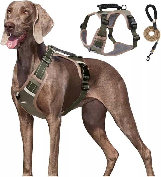 Dog Harness No Pull Adjustable Reflective,for Medium and Large Small Dog with Leash 59.06in (Khaki, S)