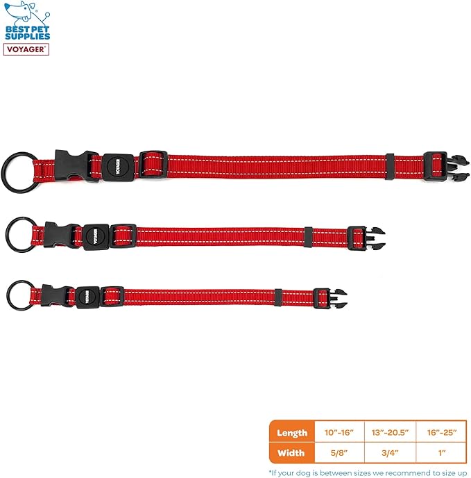 Best Pet Supplies Voyager Reflective Dog Leash or Collar with Neoprene Handle, for Small, Medium, and Large Breed Puppies, Cute and Heavy Duty for Walking, Running and Training - Red, L