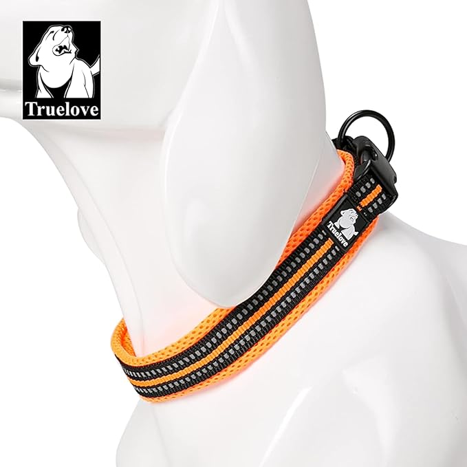 TRUE LOVE Dog Collar Reflective Premium Duraflex Buckle,High Grade Nylon Webbing No Choke Basic Collars TLC5011(Orange,2XL)