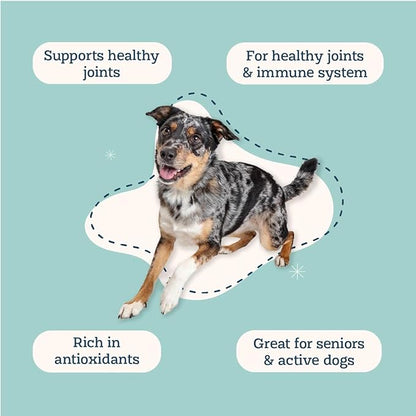 Alice & Eli Golden Groovin' - Turmeric for Dogs - Natural Immune & Joint Support for Dogs - with Organic Curcumin, MCT & Fenugreek - 30 Day Large Dog Supply