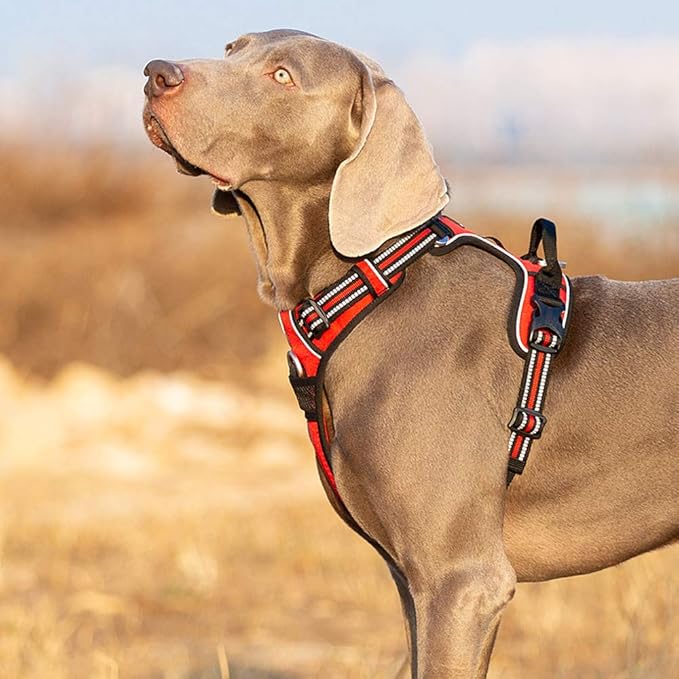 TRUE LOVE Dog Harness No Pull Nylon Reflective Pet Harness Adjustable Comfortable Control Step-in Brilliant Colors Truelove TLH56512 XS Red