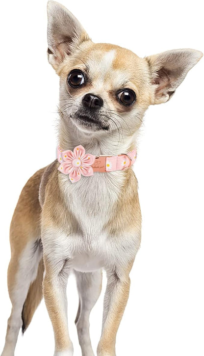Daisy Dog Collar with Flower Bow Tie, Elegant Spring Flower Bowtie Dog Collar, Durable Adjustable Cotton Pet Collar for Small Medium Large Dogs M
