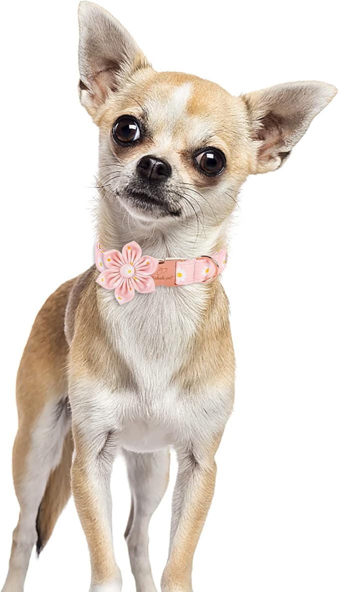 Daisy Dog Collar with Flower Bow Tie, Elegant Spring Flower Bowtie Dog Collar, Durable Adjustable Cotton Pet Collar for Small Medium Large Dogs L
