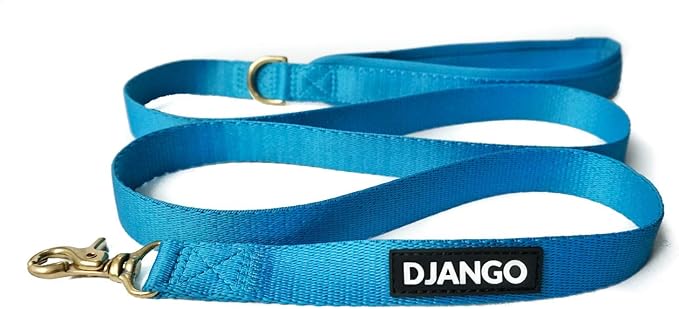 DJANGO Adventure Dog Leash – Strong, Comfortable, and Stylish Dog Leash with Solid Brass Hardware and Padded Handle - Designed for Outdoor Adventures and Everyday Use (Pacific Blue)
