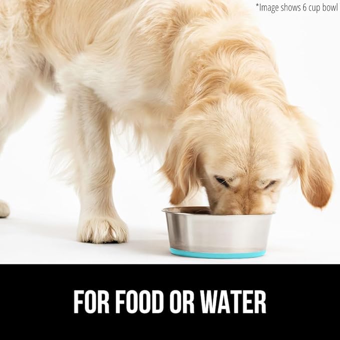 GORILLA GRIP Set of 2 Dog Bowls, Holds 6 Cups (48 fl oz), Heavy Duty Metal Food and Water Bowl for Feeding Dogs and Cats, Dishwasher Safe Rust Resistant Stainless Steel, BPA Free Rubber Base Turquoise