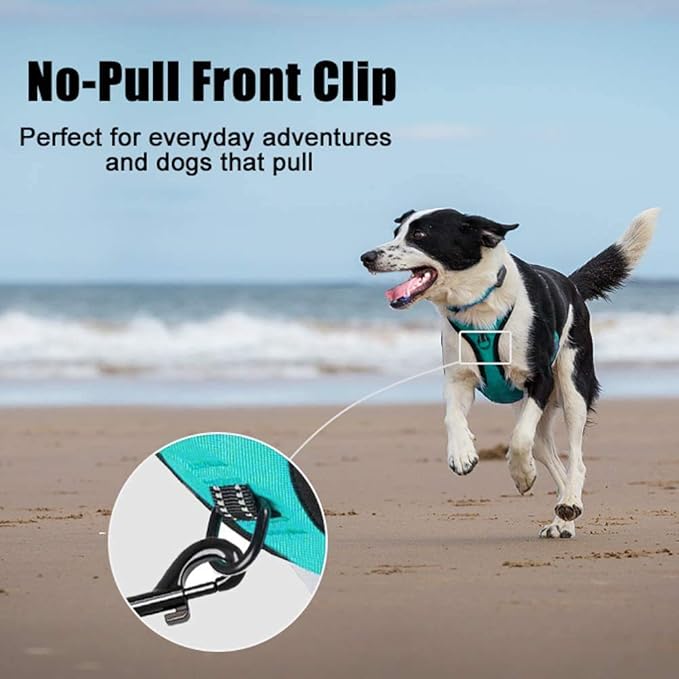 PoyPet No Pull Dog Harness, Reflective Comfortable Vest Harness with Front & Back 2 Leash Attachments and Easy Control Handle Adjustable Soft Padded Pet Vest for Small Medium Large Dogs (Mint Blue,M)