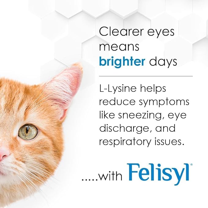 Felisyl L-Lysine Gel for Cats & Kittens (5oz) – Immune System, Respiratory & Eye Health Support. Reduces Sneezing, Runny Nose & Watery Eyes. Daily Salmon-Flavor Supplement – Made in USA