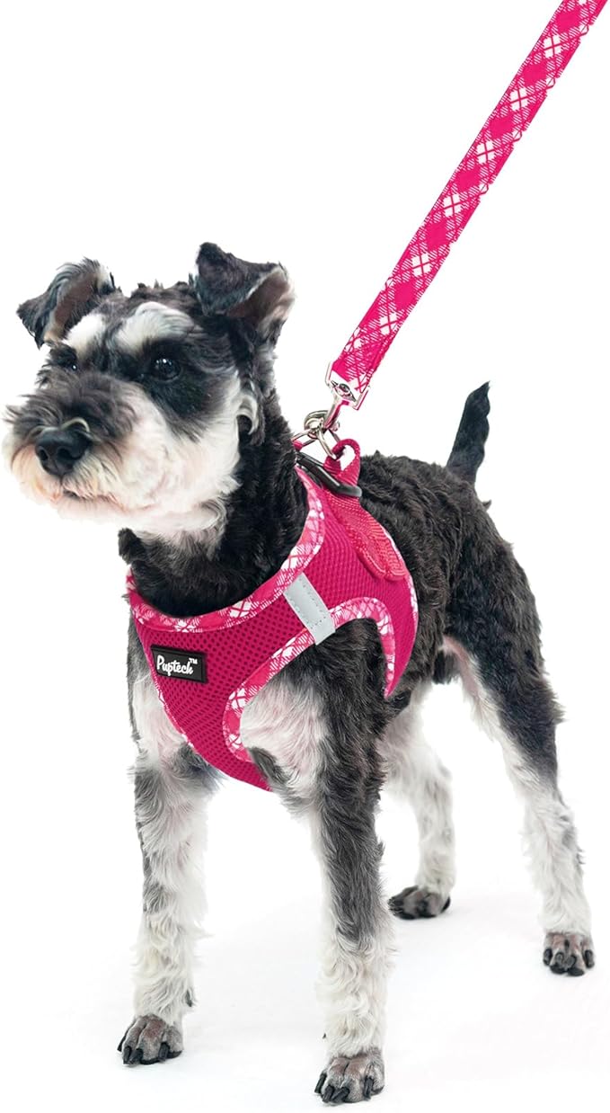 PUPTECK Dog Harness and Leash Set for Small Medium Dogs No Pull Step-in Soft Mesh Puppy Cat Vest Harnesses Reflective at Night, Fuchsia, XS