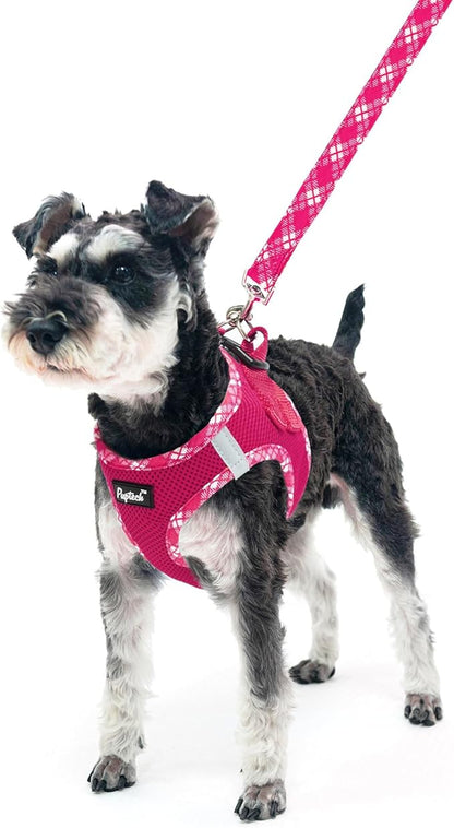 PUPTECK Dog Harness and Leash Set for Small Medium Dogs No Pull Step-in Soft Mesh Puppy Cat Vest Harnesses Reflective at Night, Fuchsia, XS
