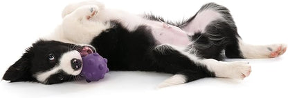 Playology Puppy Teething Ball Dog Toy for Young & Active Dogs | Engaging All-Natural Bacon Scented Chew Toy for Puppies