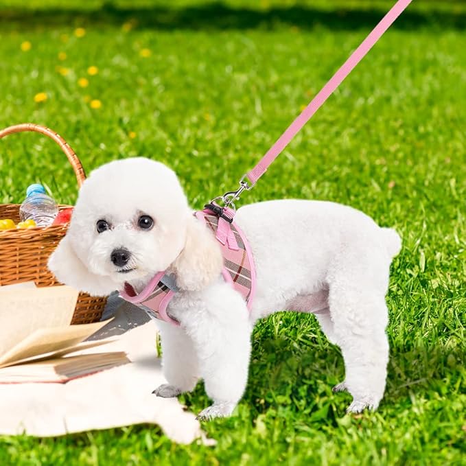 EXPAWLORER Classic Plaid Puppy Harness - Small Dog Harness and Leash Set - Dog Collar and Leash Set with AirTag Holder, Soft Padded Step in Dog Vest Harness No Pull Reflective for Outdoor, Pink M