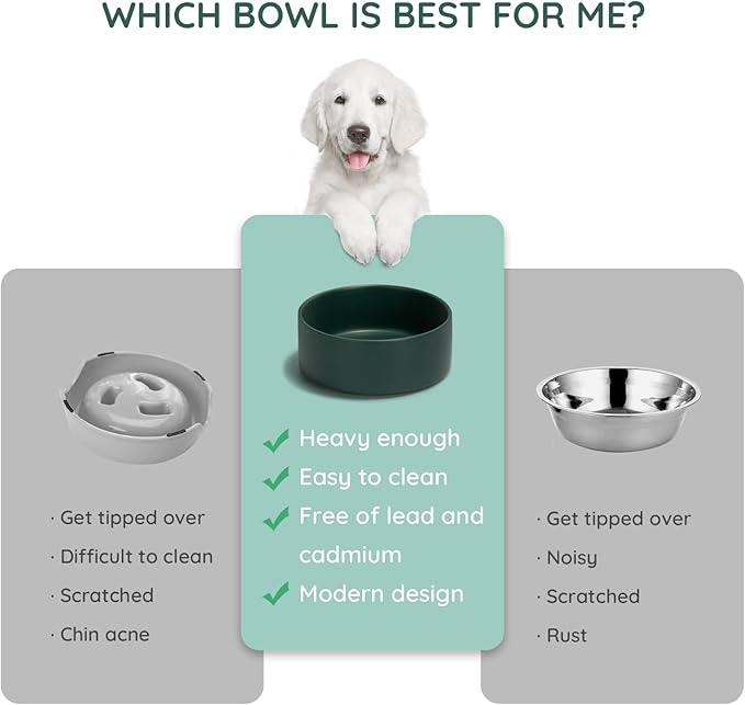 SPUNKYJUNKY 60OZ Ceramic Dog and Cat Bowl, Modern Cute Weighted Food Water Bowl for Replacement Green (1 Pack)