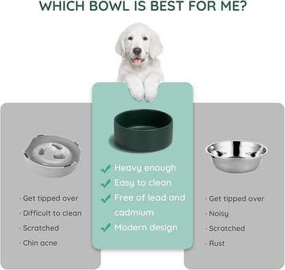 SPUNKYJUNKY 13.5OZ Ceramic Dog and Cat Bowl, Modern Cute Weighted Food Water Bowl for Replacement Green (1 Pack)