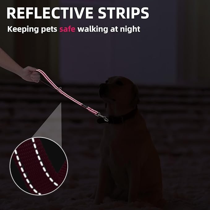 PUPTECK Reflective Dog Leash with Comfortable Padded Handle Durable Nylon Dog Lead for Small Medium and Large Dogs Cats Walking Running Training Outside, Hot Pink