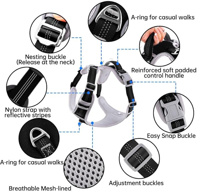 Dog Harness and Leash Set – Adjustable Dog Collar and Vest Harness for Dogs, Durable Pechera para Perros Medianos – Arnes Perro with Leash– S, M, L, XL Dog Harness and Leash Set