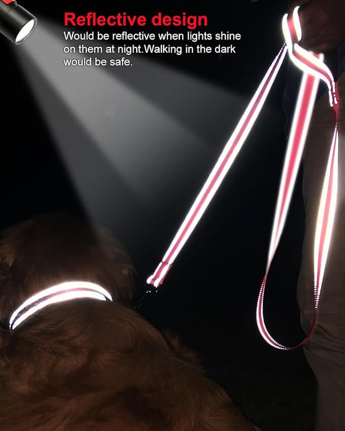 Joytale Double-Sided Reflective Dog Leash, 6 FT/5 FT/4 FT, Padded Handle Nylon Heavy Duty Leashes for Medium & Large Dogs Walking, Neon Pink, 6FT