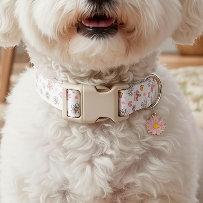 Dog Collar, Floral Dog Collar with Flower Daisy Pattern, Spring Summer Design for Small Medium Dogs, M