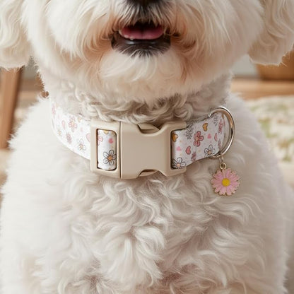 Dog Collar, Floral Dog Collar with Flower Daisy Pattern, Spring Summer Design for Small Medium Dogs, M