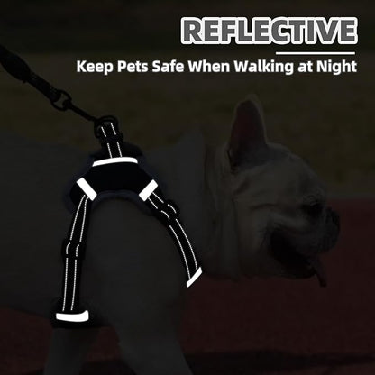 PUPTECK No Pull Dog Harness Small Sized Dog, Adjustable Reflective Escape Proof Easy Control, Comfortable Soft Padded Step in Pet Vest Harness, Black, S