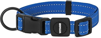 Best Pet Supplies Voyager Reflective Dog Leash or Collar with Neoprene Handle, for Small, Medium, and Large Breed Puppies, Cute and Heavy Duty for Walking, Running and Training - Royal Blue, L