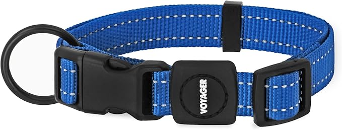 Best Pet Supplies Voyager Reflective Dog Leash or Collar with Neoprene Handle, for Small, Medium, and Large Breed Puppies, Cute and Heavy Duty for Walking, Running and Training - Royal Blue, M