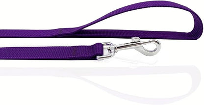Nylon Dog Leash 8 Feet Long, Walking Training Dog Leashes for Medium Large Dogs(1" X 8 ft, Purple)