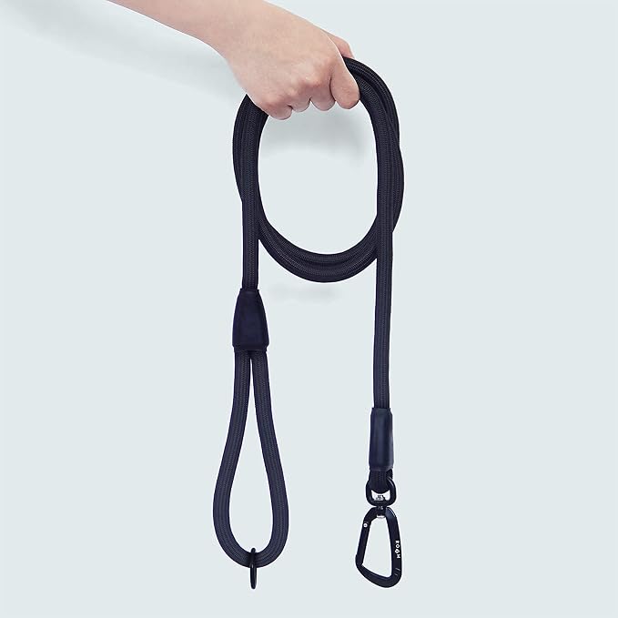 MADE TO ROAM Premium Everyday Leash - Ultra Soft Dog Leash with Aviation Aluminum Carabiner for Small, Medium, Large Dogs - New York Afterlight, 6ft (Rubber Coated Metal Clamps)