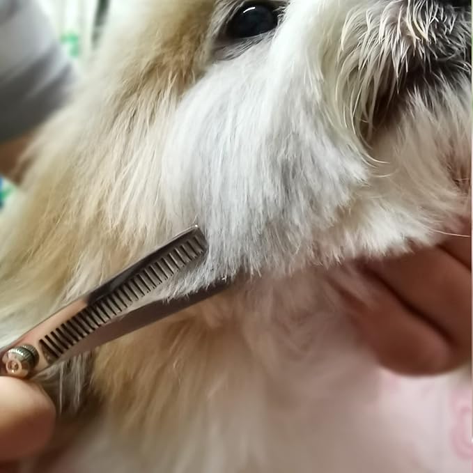 FAIGEO Dog Grooming Scissors with Safety Round Tips Stainless Steel Professional Dog Grooming Kit - Thinning, Curved Scissors and Comb for Cat Pet (Pink 4 in 1)
