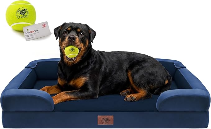 Orthopedic Dog Bed for Extra Large Dogs, XXL Waterproof Egg Crate Memory Foam Pet Bed Bolsters with Removable Washable Cover & Non-Slip Bottom, Tennis Ball Toy, 45x35