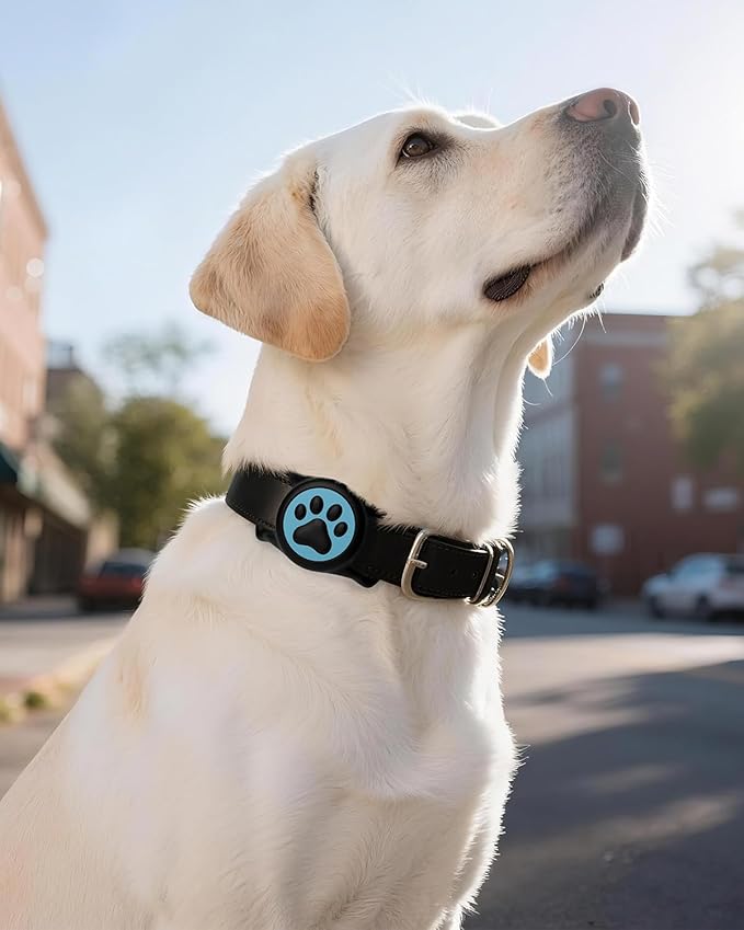 WhoseID IP68 Waterpoof Dog Tag Holder, Stretchy Silicone Full Body Covered tag Holder for Dog Cat Collar Fit All Width Collar (Black & Blue, 1 Pack)