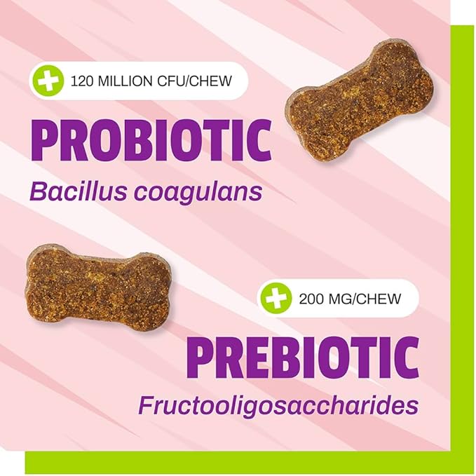 Pet Naturals Daily Probiotic Soft Chews for Dogs, Digestive and Immune Support Supplement, 1 Billion CFU Per Chew, Duck, 60 Count