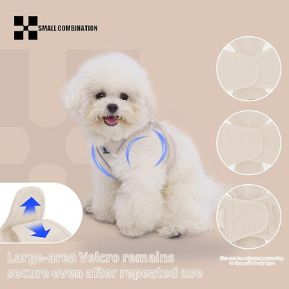 Adjustable Dog Harness with Leash, Reflective Mesh, No-Pull Design，Matching Lead Rope (Cream-Coloured, L)