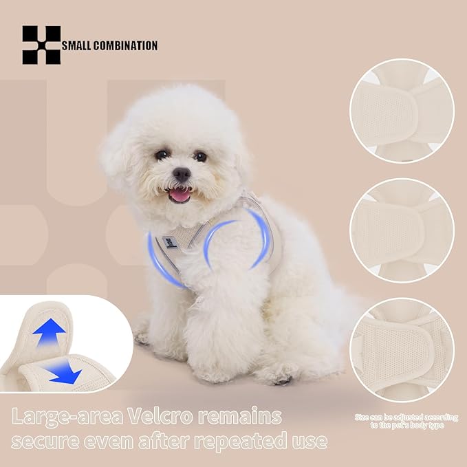 Adjustable Dog Harness with Leash, Reflective Mesh, No-Pull Design，Matching Lead Rope (Cream-Coloured, XXXS)