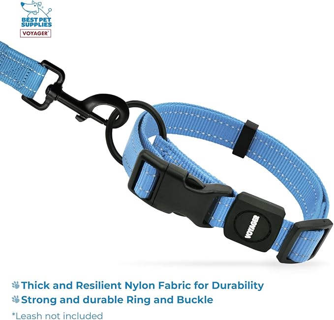 Best Pet Supplies Voyager Reflective Dog Leash or Collar with Neoprene Handle, for Small, Medium, and Large Breed Puppies, Cute and Heavy Duty for Walking, Running and Training - Baby Blue, M