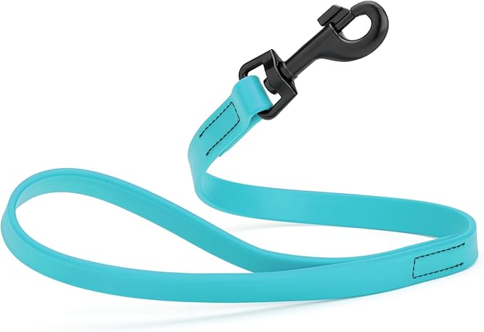 Dogline Biothane Waterproof Dog Leash Strong Coated Nylon Webbing with Black Hardware Odor-Proof Easy to Clean High Performance for Small or Large Dogs Made in USA 2 ft Lead, Sky Blue
