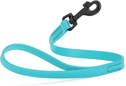 Dogline Biothane Waterproof Dog Leash Strong Coated Nylon Webbing with Black Hardware Odor-Proof Easy to Clean High Performance for Small or Large Dogs Made in USA 2 ft Lead, Sky Blue