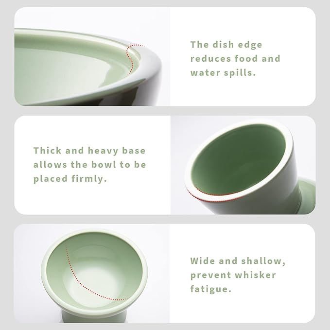 CEEFU 2 Elevated Ceramic Cat Bowls Extra Wide for Food & Water – Whisker Fatigue Shallow Food Dish, Lead & Cadmium-Free, Raised Height for Cats, Sage Green