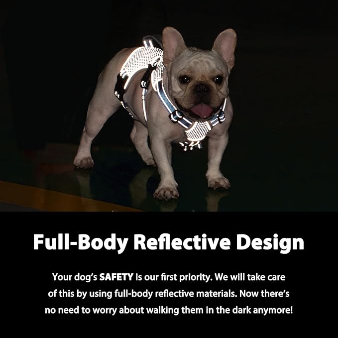 Huntboo Escape Proof Dog Harness, Escape Artist Harness, Reflective Dog Harness with Handle, Durable,Adjustable Vest for Small Medium Large Dogs Walking, Training, and Running Gear(Sea Blue,S)