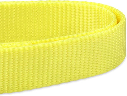 Hyhug Short Dog Leash Heavy Duty Nylon with Comfortable Padded Handle, Durable Training Pet Leashes for Small Medium Large Dogs(24 Inches, Luminous Yellow)
