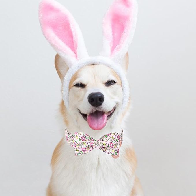 Easter Bunny Dog Collar with Bowtie,Cotton Easter Eggs Bowtie Collar for Puppy Girl Boy Dogs,Cute Bunny Pet Collars with Metal Buckle,Gift Dog Collars, L, Neck 16-24in