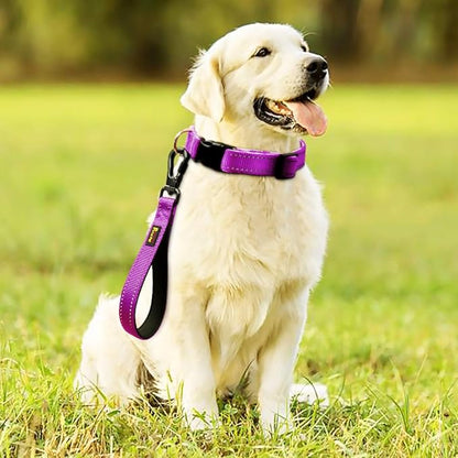 PLUTUS PET 10” Short Dog Leash, Reflective Nylon Padded Handle, Strong Traffic Leash with Carabiner Clip, Perfect for Large or Medium Dogs（10”，Purple