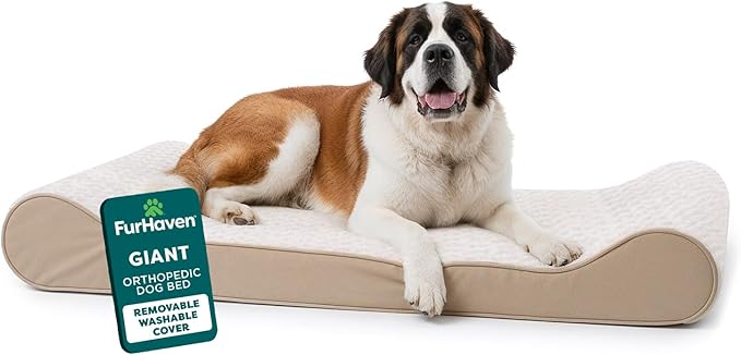 Furhaven Orthopedic Dog Bed for Extra Large Dogs w/ Removable Washable Cover, For Dogs Up to 180 lbs - Ultra Plush Faux Fur & Suede Luxe Lounger Contour Mattress - Cream, Giant/XXXL