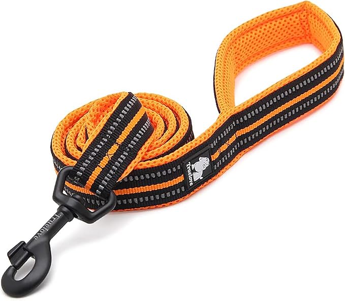 TRUE LOVE Reflective Dog Leash Puppy Walking Lead, Padded Pet Chain Rope，Length 110cm Truelove TLL2111(Orange,L)