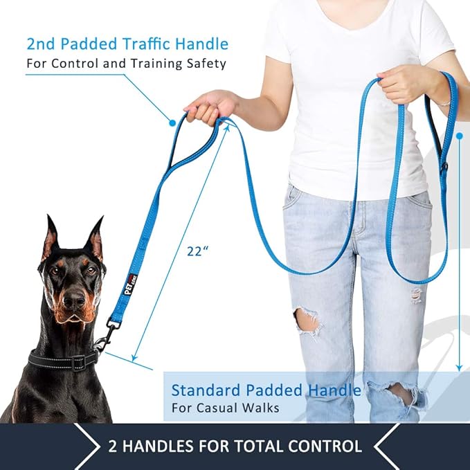Plutus Pet Double Handle Dog Leash 5ft, Heavy Duty, Reflective Dual Handle Dog Leash for Safety Training, for Medium Large Dogs,2 Handle Leads(Blue)