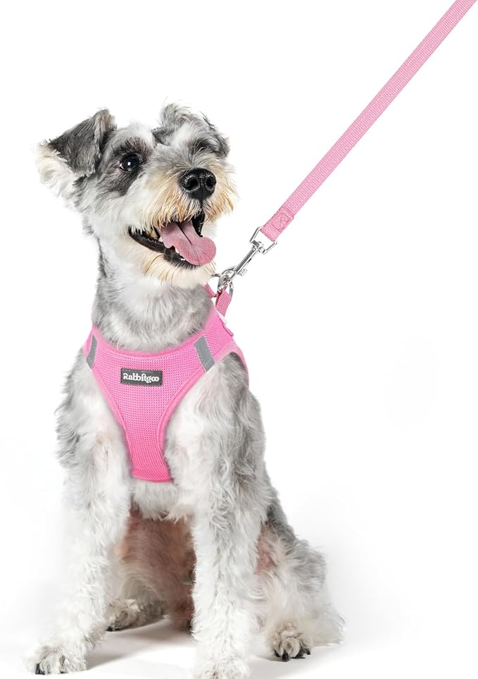rabbitgoo Dog Harness Small Medium Sized and Leash Set, Step in Soft Light Puppy Vest, Breathable Mesh Pet Harness, Reflective for Safe Easy Walking, Light Pink XL