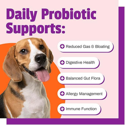 Pet Naturals Daily Probiotic Soft Chews for Dogs, Digestive and Immune Support Supplement, 1 Billion CFU Per Chew, Duck, 60 Count